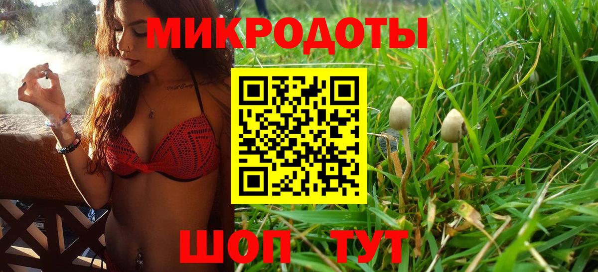 Янаул  Псилоцибиновые грибы мухоморы  Вход с VPN 